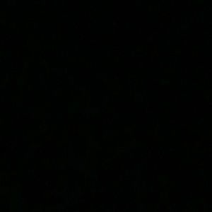 Meet your Posher, Caryn